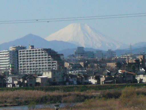 �����i�i���R�Ƃ̂ӂꂠ���j