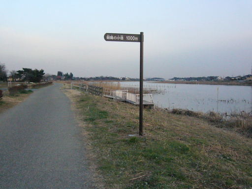 �����i�i���R�Ƃ̂ӂꂠ���j