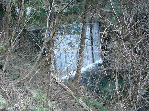 �����i�i���R�Ƃ̂ӂꂠ���j