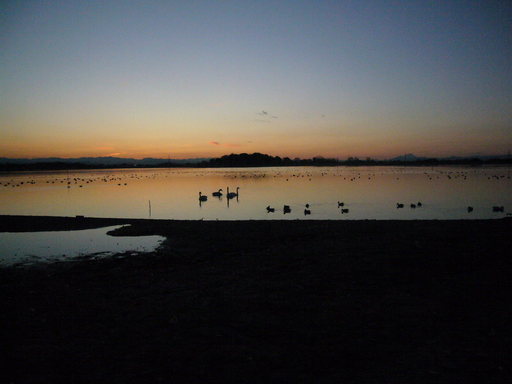 �����i�i���R�Ƃ̂ӂꂠ���j