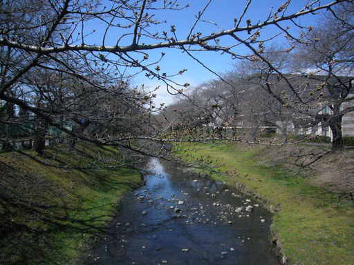 �����i�i���R�Ƃ̂ӂꂠ���j