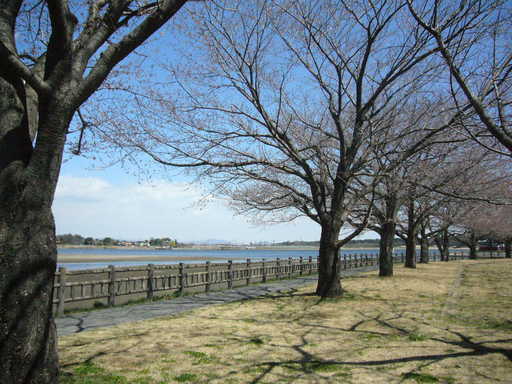 �����i�i���R�Ƃ̂ӂꂠ���j