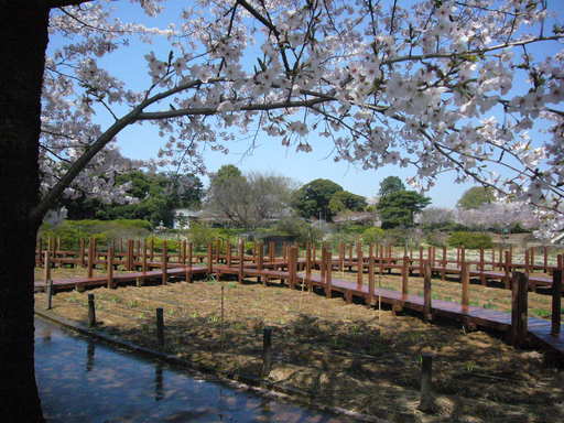 �����i�i���R�Ƃ̂ӂꂠ���j