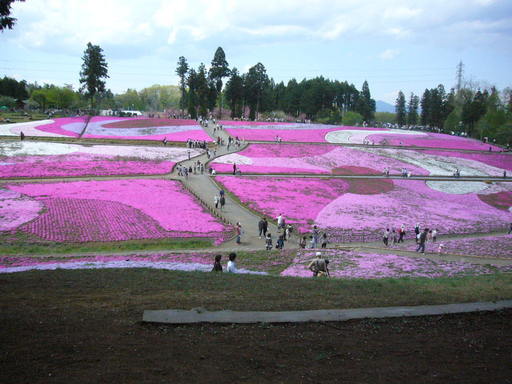 �����i�i���R�Ƃ̂ӂꂠ���j