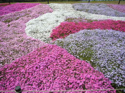 �����i�i���R�Ƃ̂ӂꂠ���j