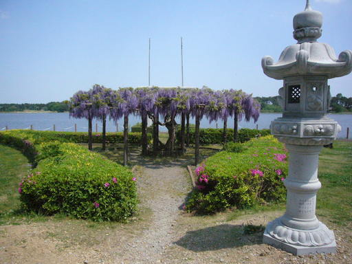 �����i�i���R�Ƃ̂ӂꂠ���j