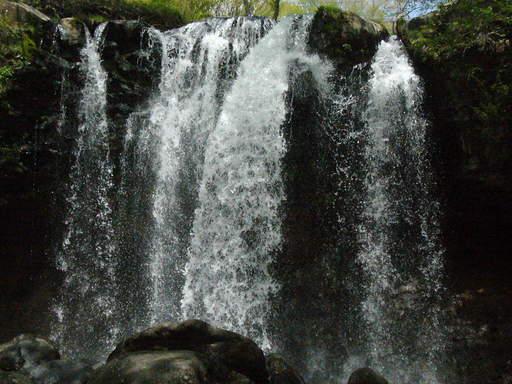 �����i�i���R�Ƃ̂ӂꂠ���j