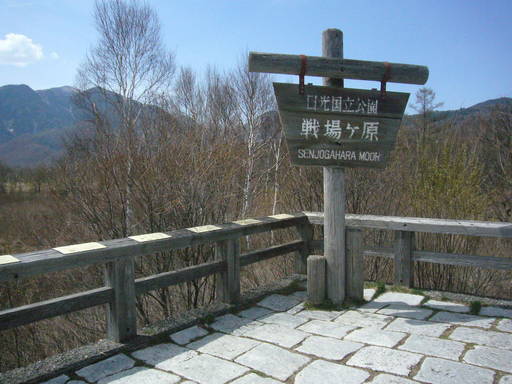 �����i�i���R�Ƃ̂ӂꂠ���j