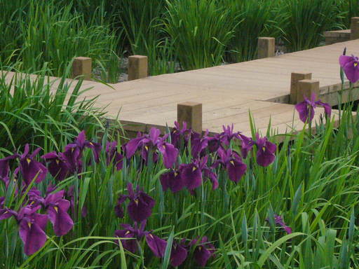 �����i�i���R�Ƃ̂ӂꂠ���j