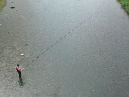 �����i�i���R�Ƃ̂ӂꂠ���j