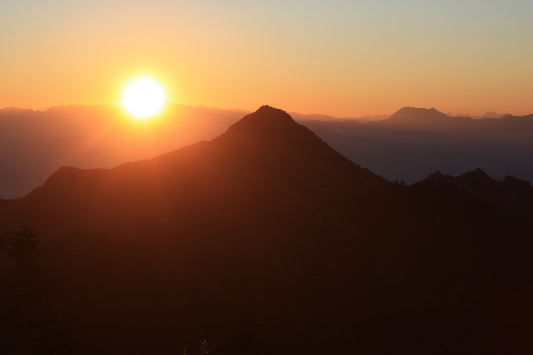 �����i�i���R�Ƃ̂ӂꂠ���j