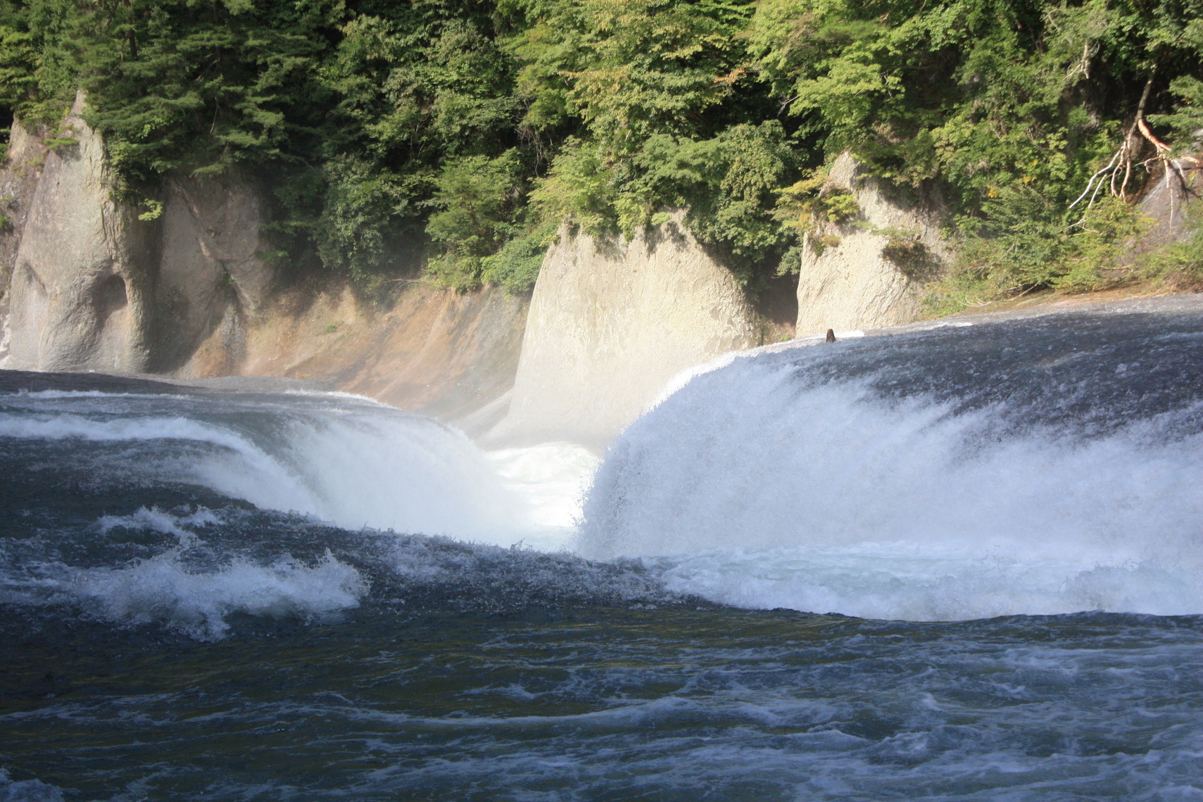 �����i�i���R�Ƃ̂ӂꂠ���j