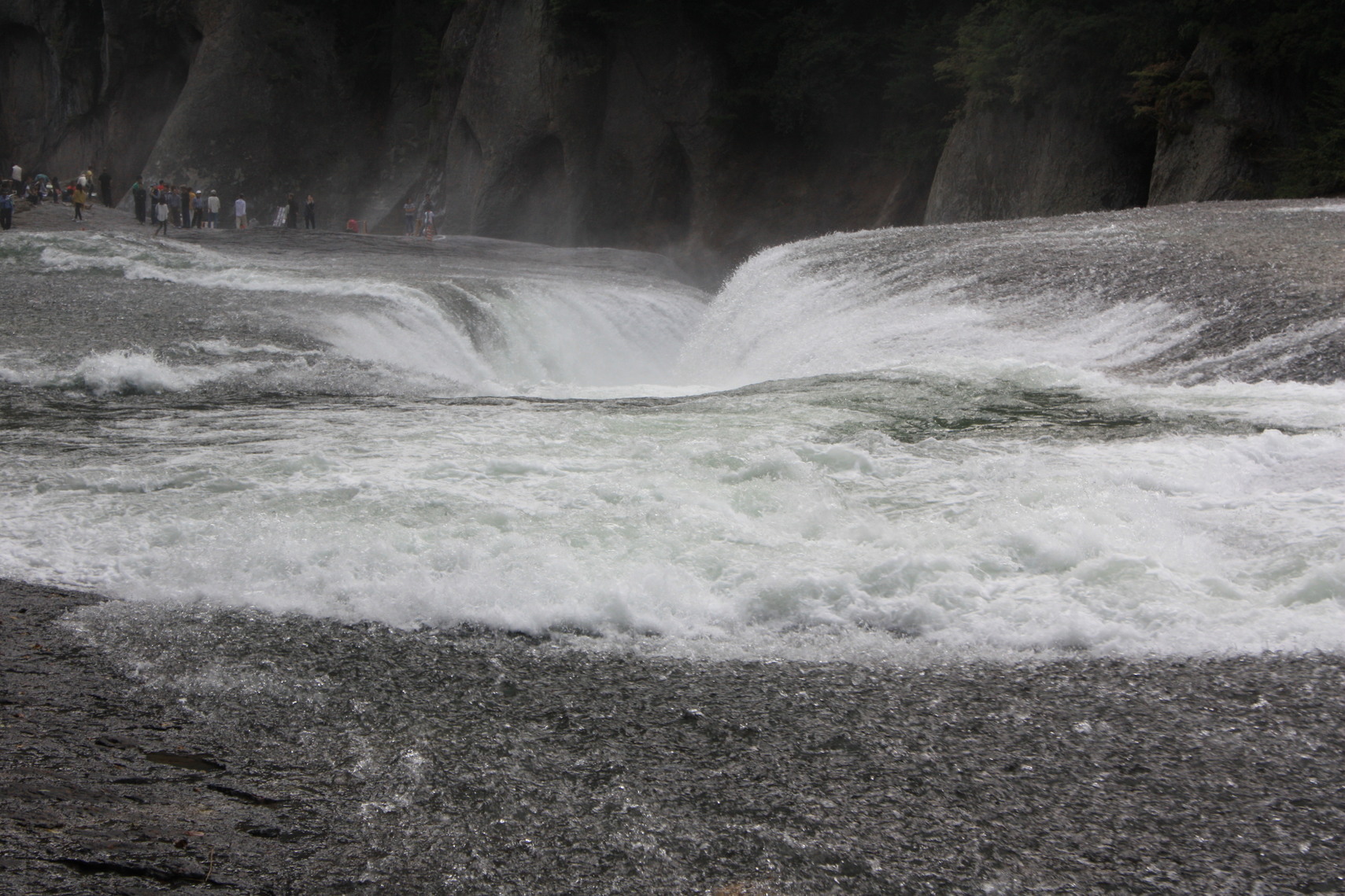 �����i�i���R�Ƃ̂ӂꂠ���j