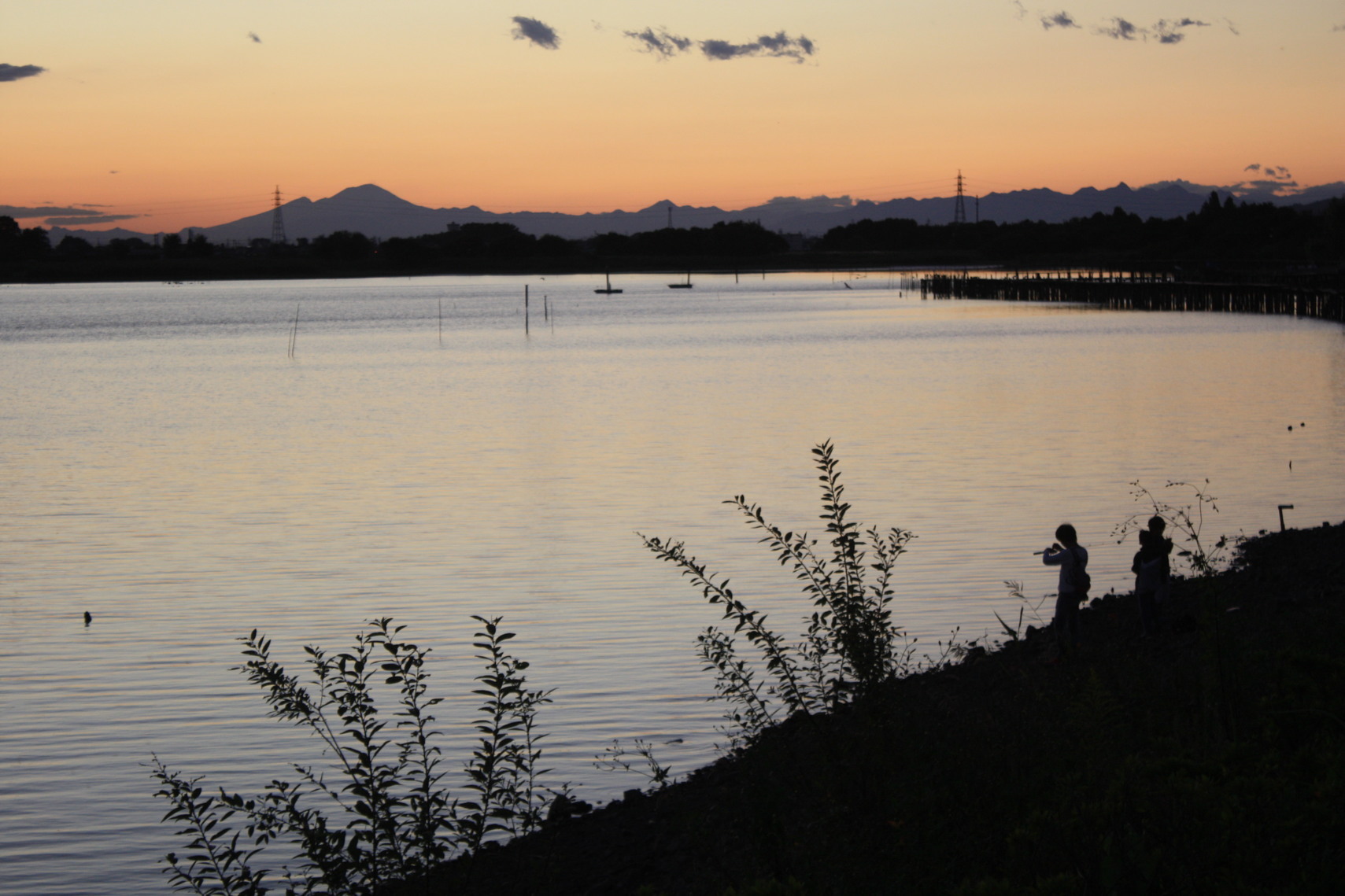 �����i�i���R�Ƃ̂ӂꂠ���j