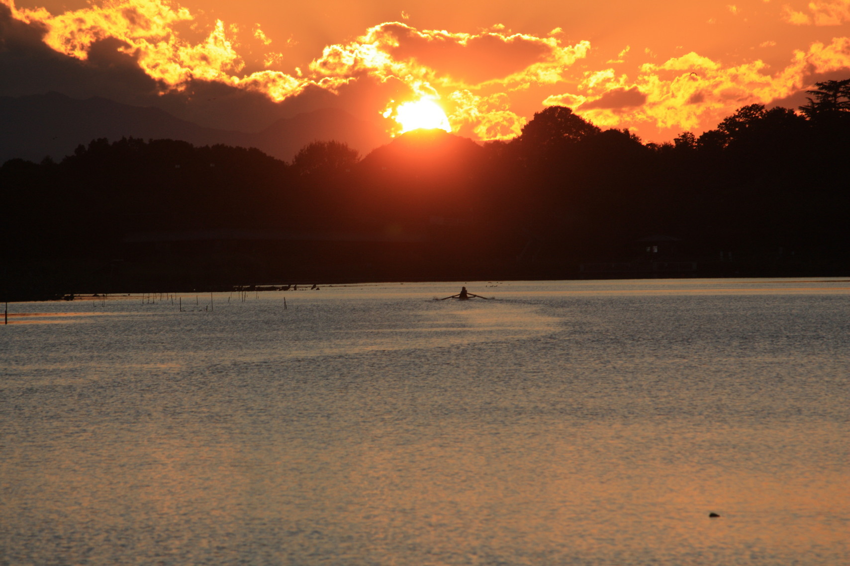 �����i�i���R�Ƃ̂ӂꂠ���j