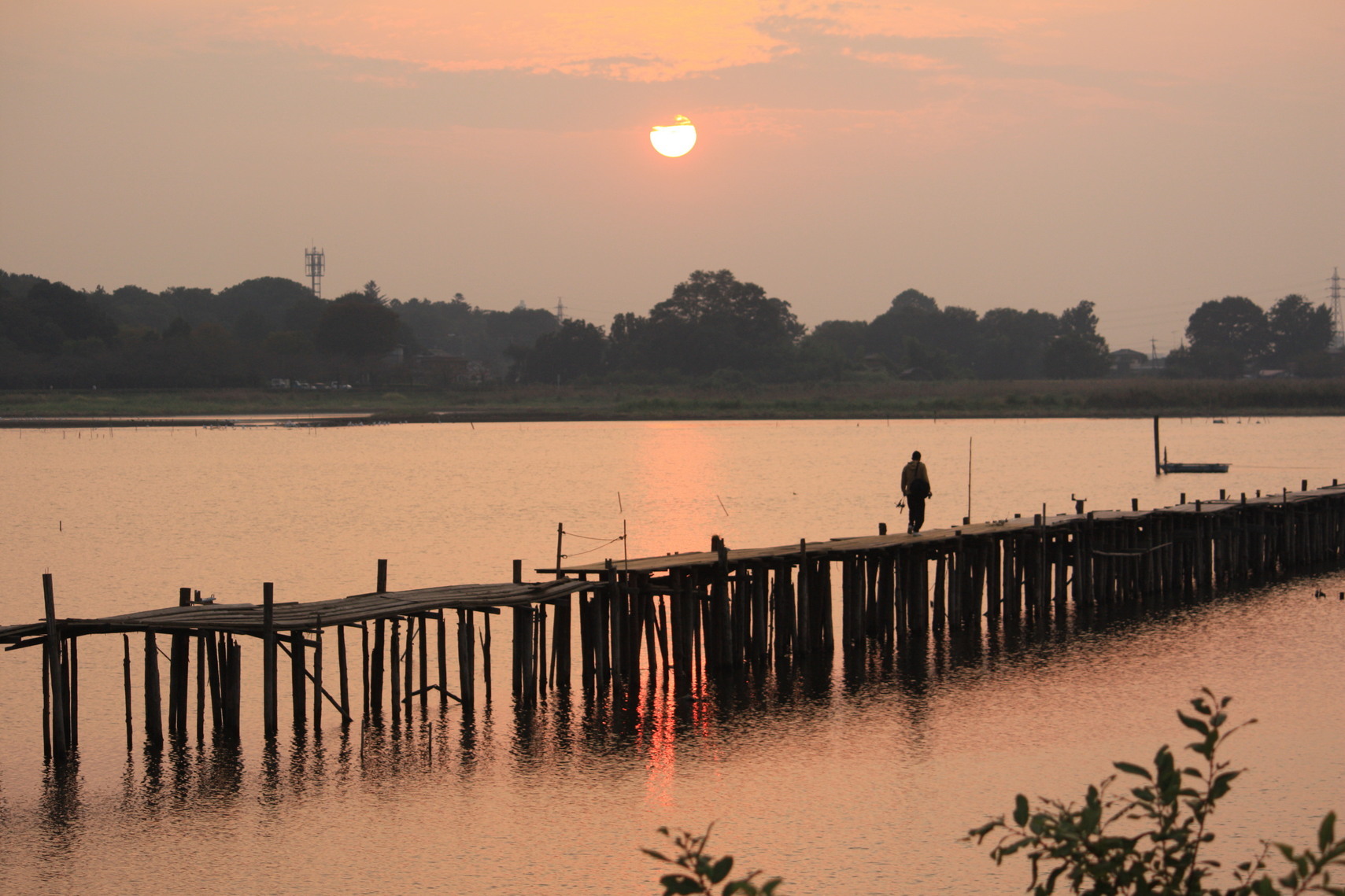 �����i�i���R�Ƃ̂ӂꂠ���j