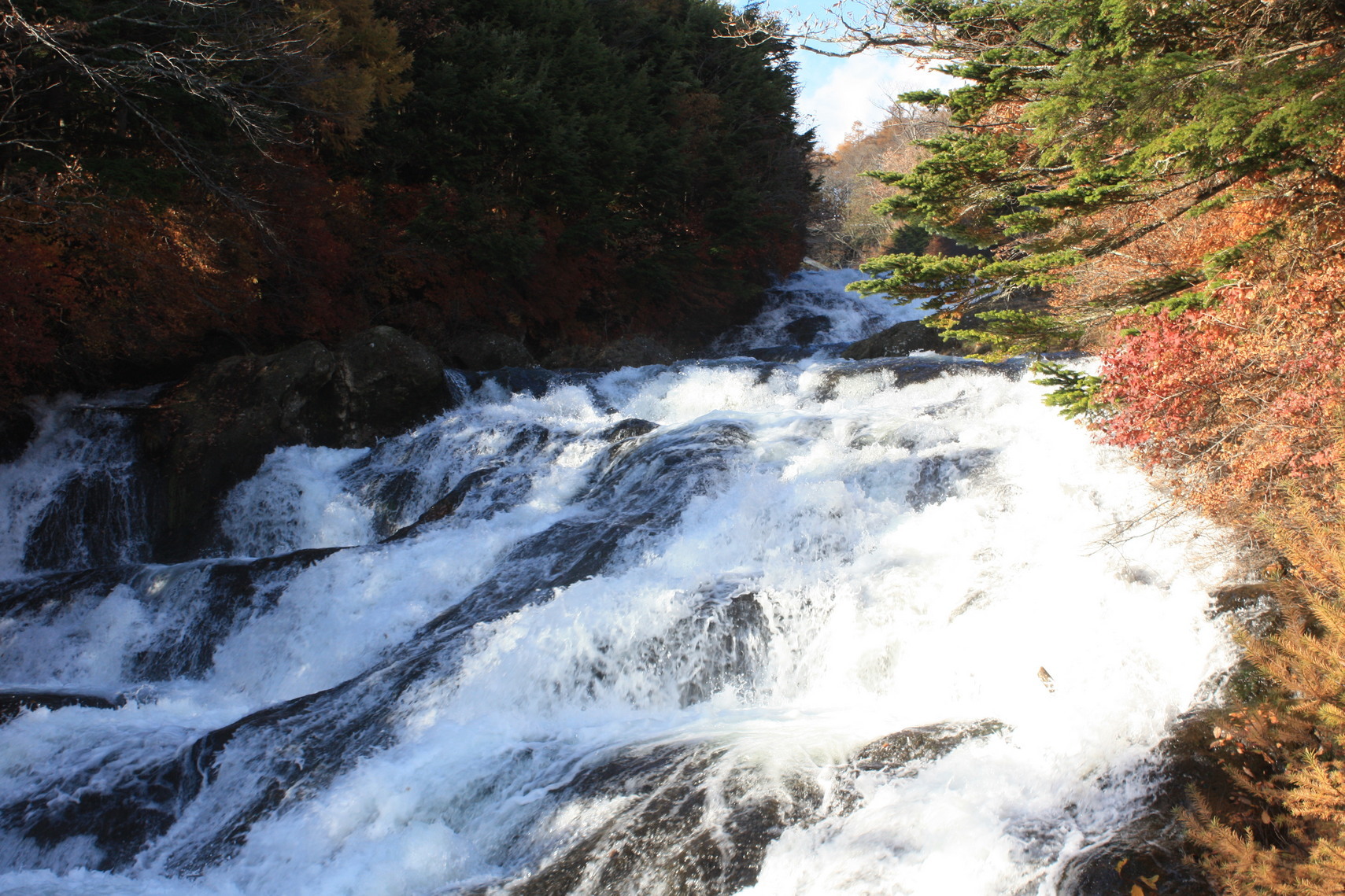 �����i�i���R�Ƃ̂ӂꂠ���j