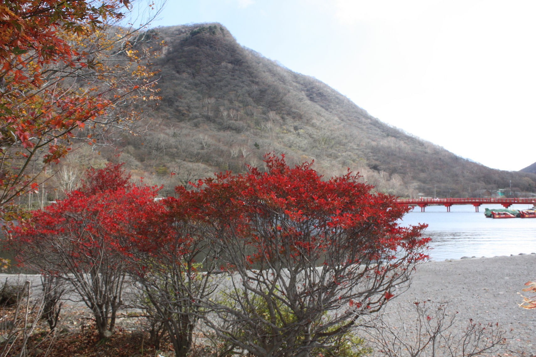 �����i�i���R�Ƃ̂ӂꂠ���j