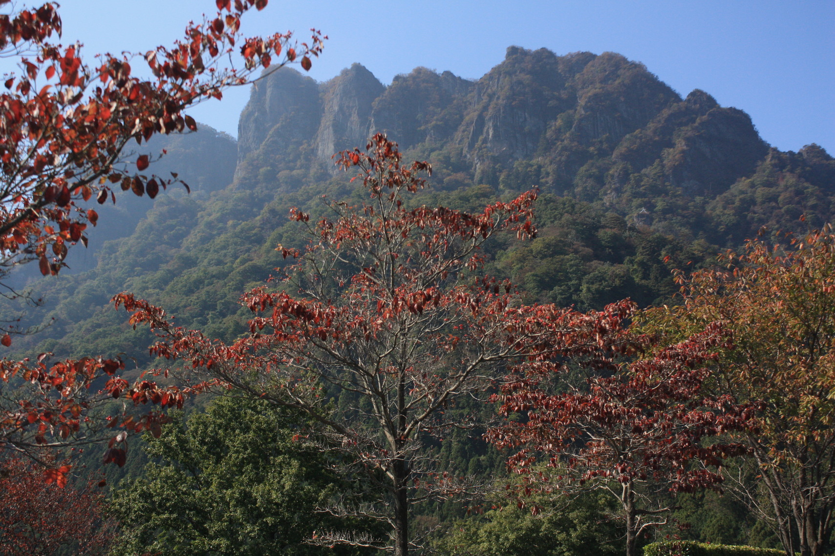 �����i�i���R�Ƃ̂ӂꂠ���j