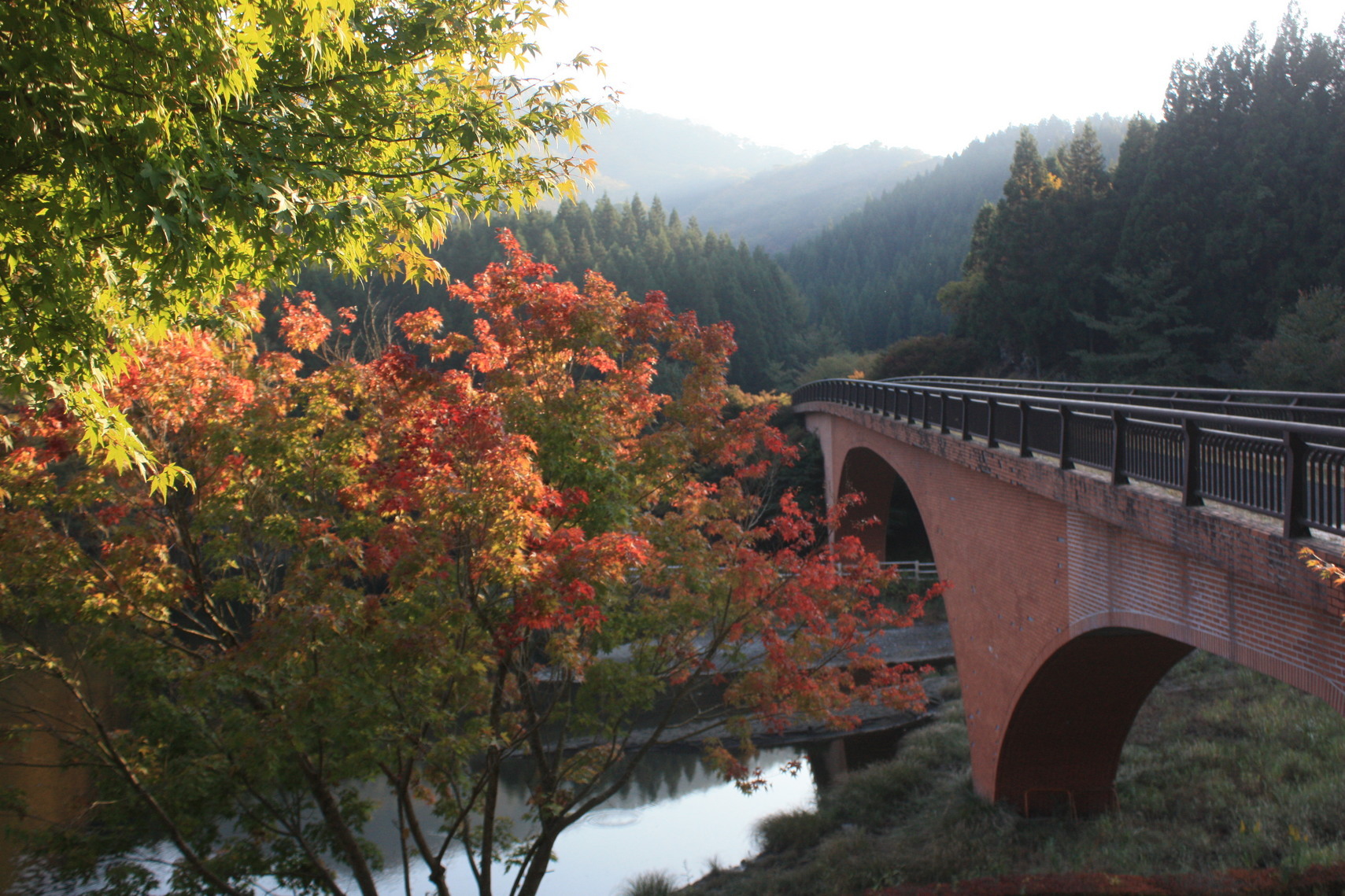 �����i�i���R�Ƃ̂ӂꂠ���j