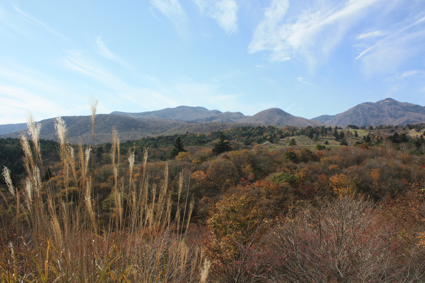 �����i�i���R�Ƃ̂ӂꂠ���j