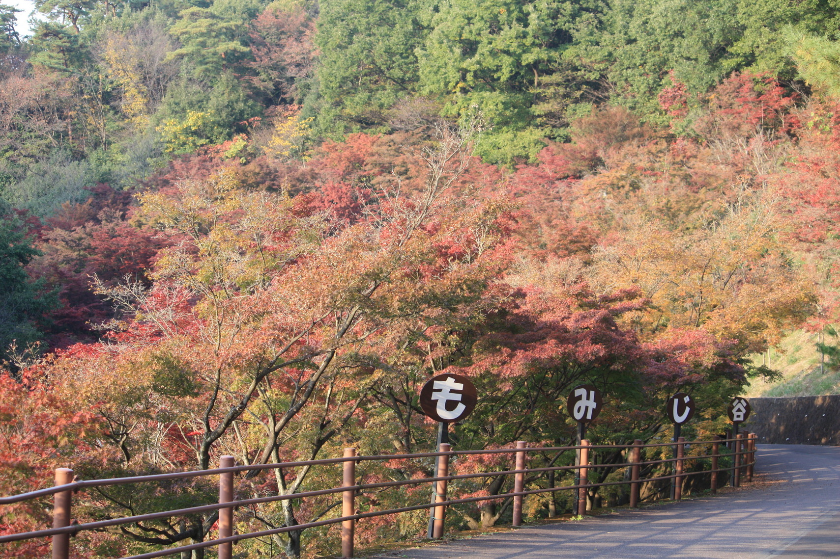 �����i�i���R�Ƃ̂ӂꂠ���j