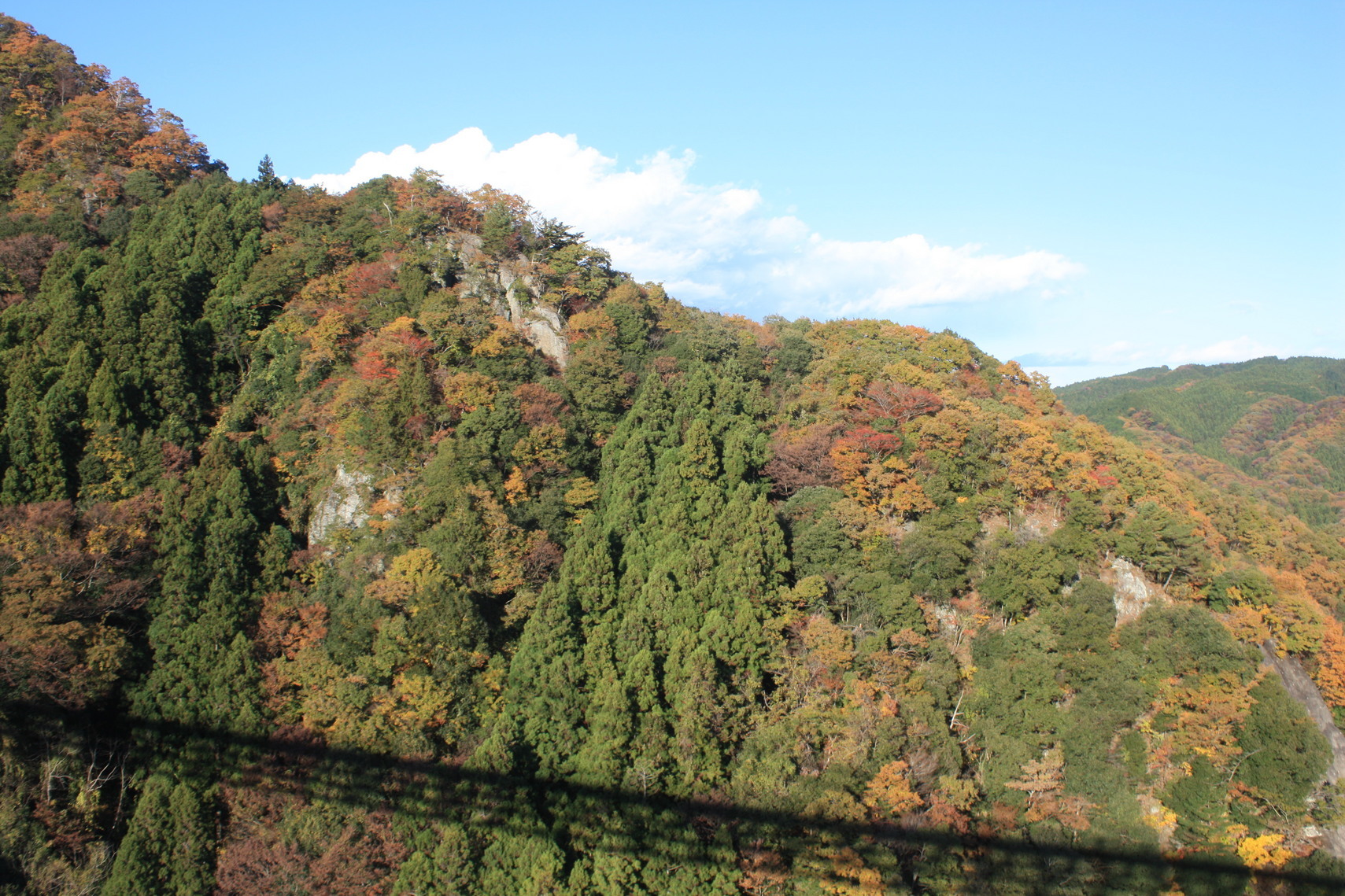 �����i�i���R�Ƃ̂ӂꂠ���j