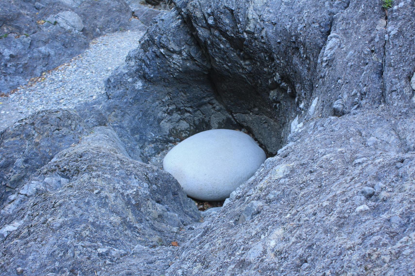 �����i�i���R�Ƃ̂ӂꂠ���j