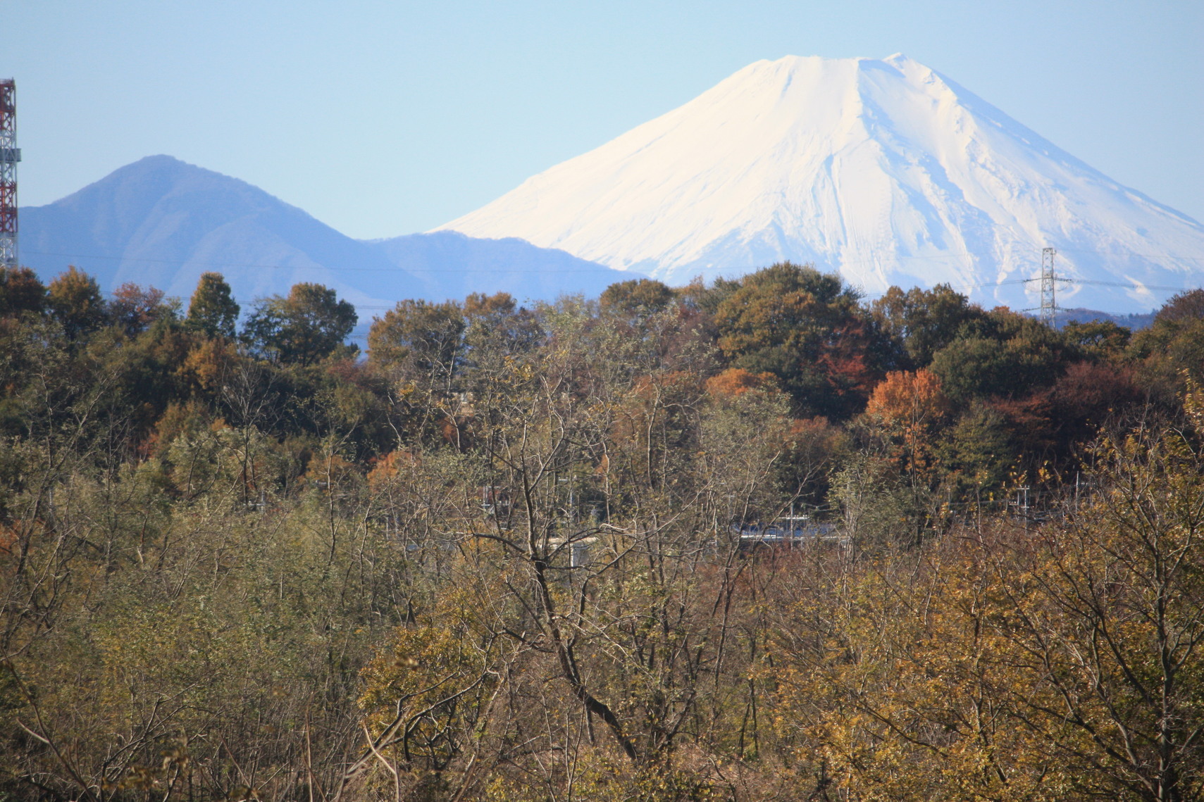 �����i�i���R�Ƃ̂ӂꂠ���j