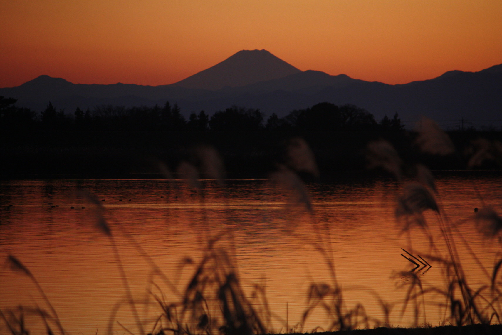 �����i�i���R�Ƃ̂ӂꂠ���j