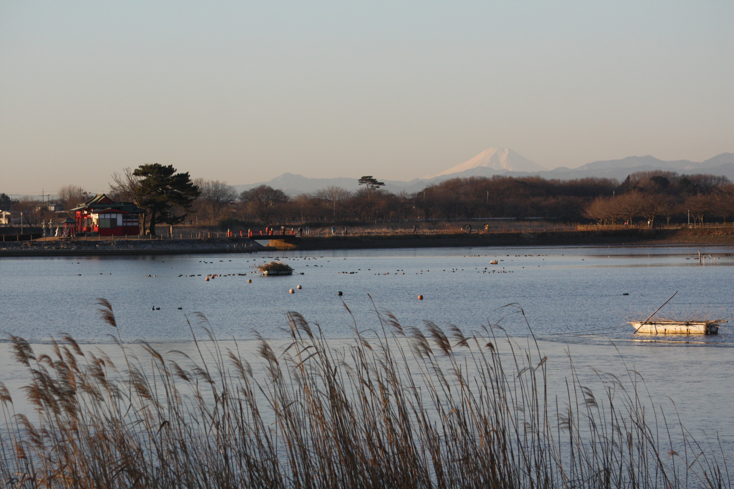 �����i�i���R�Ƃ̂ӂꂠ���j