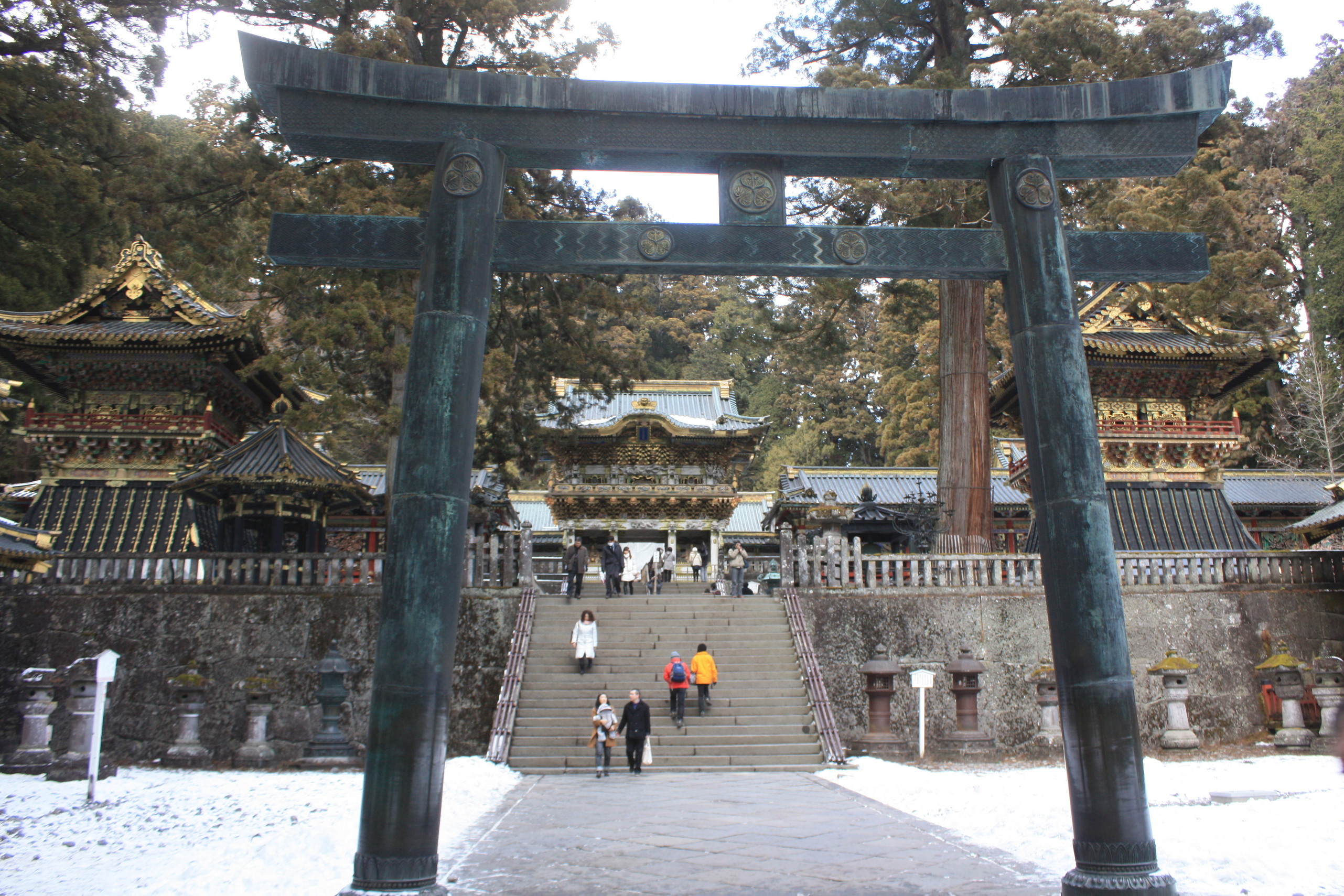 �����i�i���R�Ƃ̂ӂꂠ���j