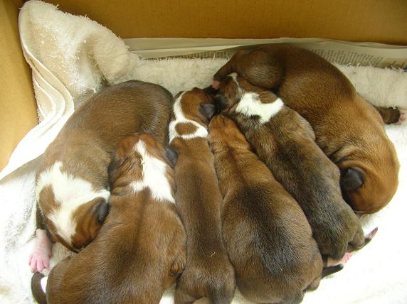 �o�����@�r�������@����ҁ`