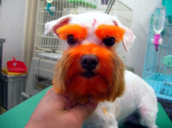 �o�����@�r�������@����ҁ`