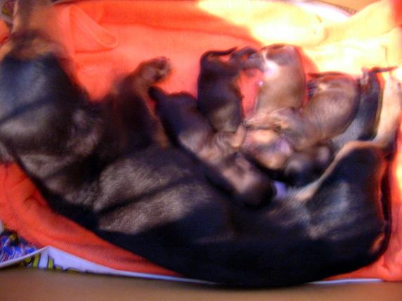 �o�����@�r�������@����ҁ`