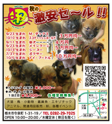 �o�����@�r�������@����ҁ`