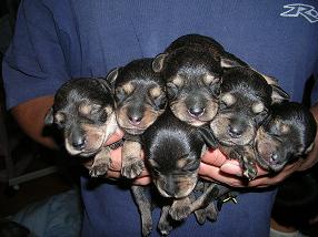 �o�����@�r�������@����ҁ`