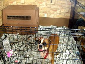 �o�����@�r�������@����ҁ`