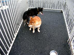 �o�����@�r�������@����ҁ`