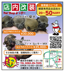 �o�����@�r�������@����ҁ`