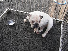 �o�����@�r�������@����ҁ`