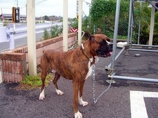 �o�����@�r�������@����ҁ`