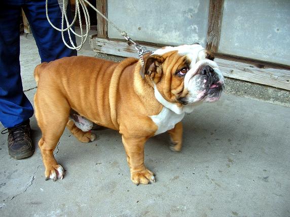 �o�����@�r�������@����ҁ`