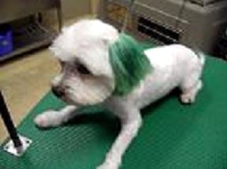 �o�����@�r�������@����ҁ`