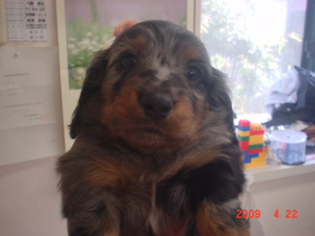 �o�����@�r�������@����ҁ`