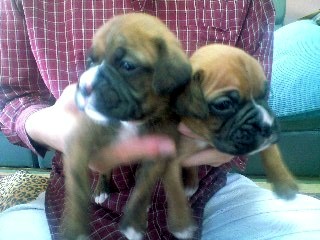 �o�����@�r�������@����ҁ`