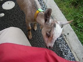 �o�����@�r�������@����ҁ`