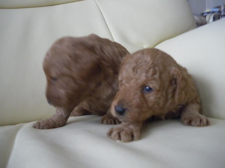 �o�����@�r�������@����ҁ`