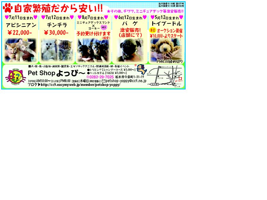 �o�����@�r�������@����ҁ`