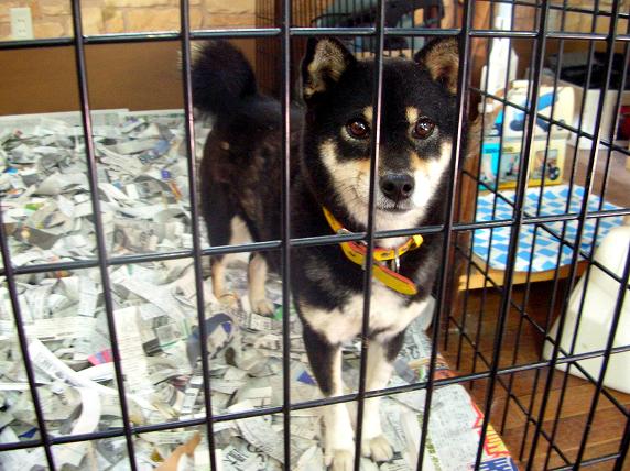 �o�����@�r�������@����ҁ`